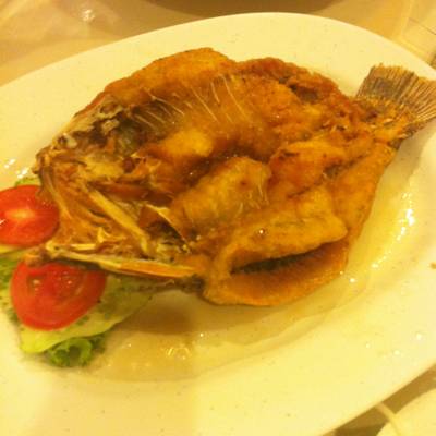 ปลากระพงทอด ที่ ร้านอาหาร ซ้งโภชนา กัลปพฤกษ์ ปลากระพงทอด ที่ ร้านอาหาร ซ้งโภชนา กัลปพฤกษ์