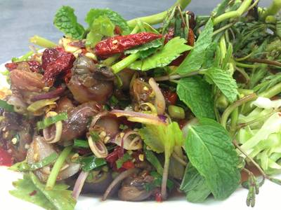 ยำหอยแครงรสจัดจ้าน ที่ ร้านอาหาร ร้านอาหารจานเปล