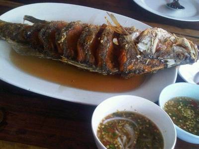 ร้านอาหาร มงคลฟาร์ม