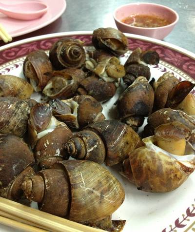 หอยหวาน ที่ ร้านอาหาร แสงชัยโภชนา