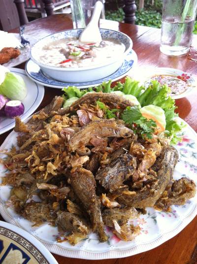 ปลาเนื้ออ่อนทอดกระเทียม , หลนปู ที่ ร้านอาหาร ริมน้ำ