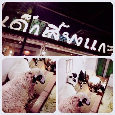 ร้านอาหาร เด็กเลี้ยงแกะ FARM & RESTAURANT ร้านอาหาร เด็กเลี้ยงแกะ FARM & RESTAURANT