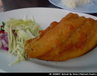 ร้านอาหาร ติ๊กโภชนา