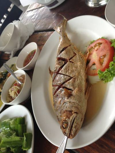 ปลาสละทอดน้ำปลา ที่ ร้านอาหาร ร้านป้า (เจ้าเก่านาเกลือ) ปลาสละทอดน้ำปลา ที่ ร้านอาหาร ร้านป้า (เจ้าเก่านาเกลือ)