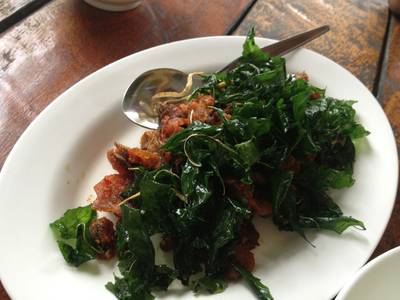 ผัดเผ็ดปลาดุกไร้ก้าง ที่ ร้านอาหาร ร้านป้า (เจ้าเก่านาเกลือ) ผัดเผ็ดปลาดุกไร้ก้าง ที่ ร้านอาหาร ร้านป้า (เจ้าเก่านาเกลือ)
