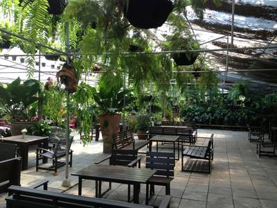ในสวน ที่ ร้านอาหาร บ้านก้ามปู ทรอปิคอล คาเฟ่