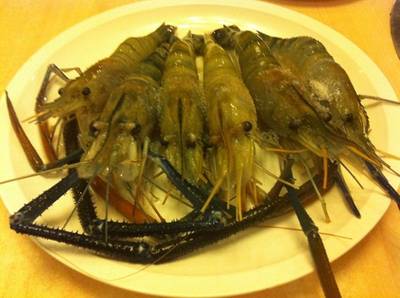 กุ้งตัวโต ที่ ร้านอาหาร Giants Yakiniku