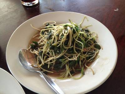 ผัดต้นทานตะวันอ่อน ที่ ร้านอาหาร ครัวเขาใหญ่