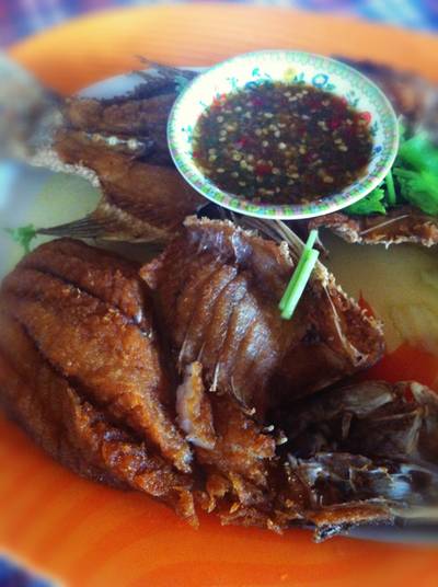 ปลากระพงทอดนํ้าปลา ที่ ร้านอาหาร ครัวบ้านริมน้ำ วัดกู้