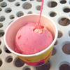 ไอติมดอกไม้ ที่ ร้านอาหาร ดาษดาแกลแลอรี่ To Sit Bloom Dasada