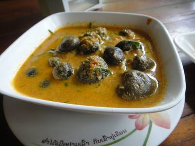 แกงคั่วเห็ดเผาะ ที่ ร้านอาหาร ครกไม้ไทยลาว
