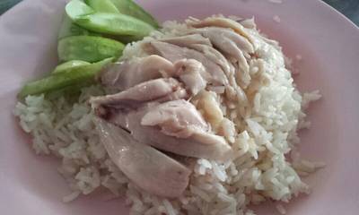 ข้าวมันไก่ไร้หนัง ที่ ร้านอาหาร ข้าวมันไก่ดุ๊ยดุ่ย