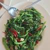 ผักน้ำไฟแดง เยี่ยมครับ ที่ ร้านอาหาร อัน อัน เหลา