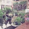 ร้านอาหาร I Dol @ Coffee