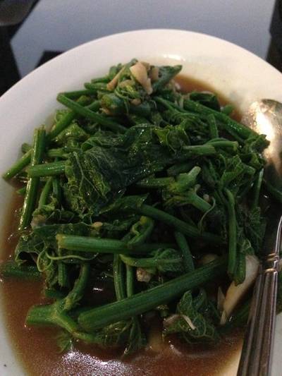 ร้านอาหาร แม่สลองวิลล่า