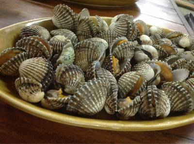 หอยเหี่ยว !! ที่ ร้านอาหาร นายฮ้อปูดอง