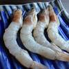 กุ้ง