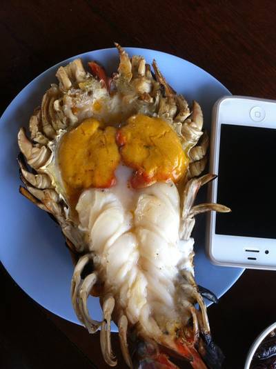 โ-ตรกุ้ง ที่ ร้านอาหาร ต้นน้ำ บางปะอิน