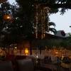 ร้านอาหาร เสือนอนกิน