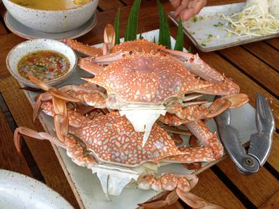 ปูนึ่ง สดๆ ที่ ร้านอาหาร กันเอง เพียร์ ปูนึ่ง สดๆ ที่ ร้านอาหาร กันเอง เพียร์