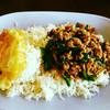 กระเพราครับ กลางวันของ่ายๆ ที่ ร้านอาหาร หนู โภชนา