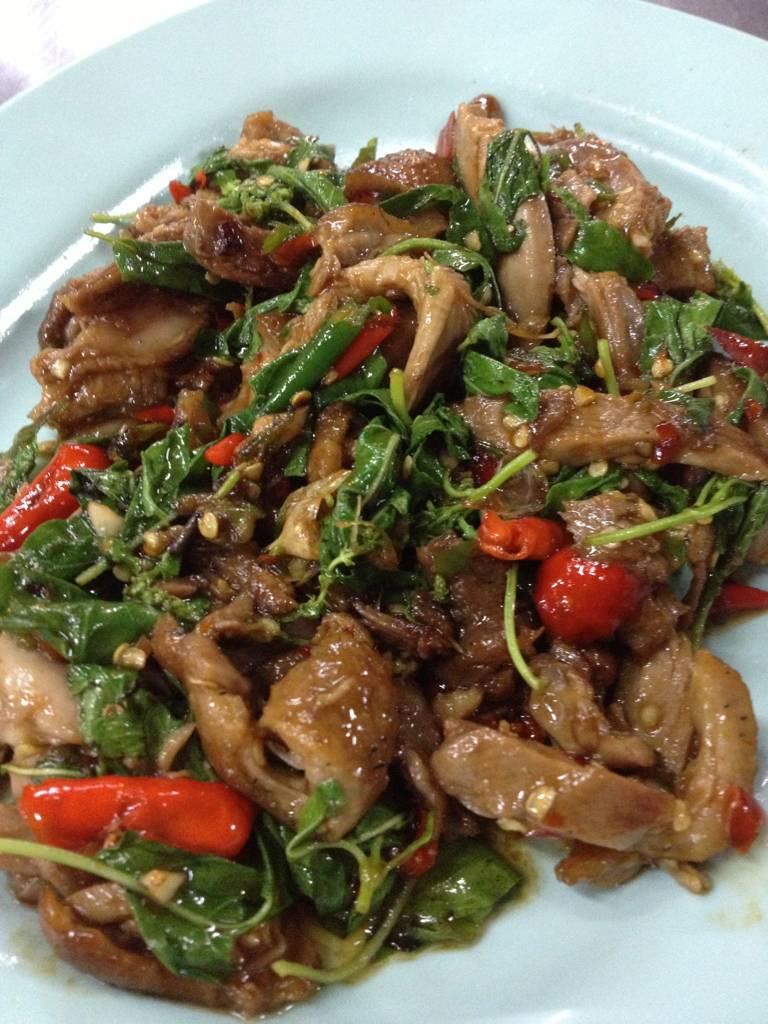 กระเพราเป็ด ที่ ร้านอาหาร ข้าวต้มเฮียฮก