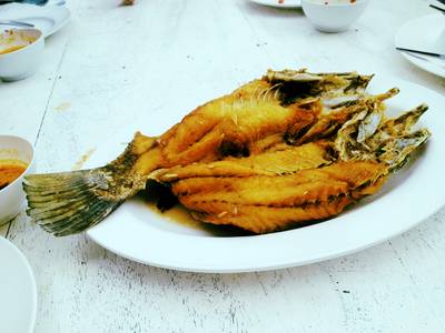 ปลาทอดน้ำปลา. ท้องปลาคาวมาก เอาเป็นว่าจบนะจานนี้ ที่ ร้านอาหาร อยู่เย็น หัวหิน บัลโคนี่