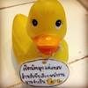 ร้านอาหาร Milk cafe