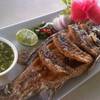 ปลากระพงทอดราดน้ำปลา ที่ ร้านอาหาร In Love Bar & Restaurant