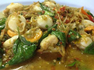 หอยเชลล์ผัดฉ่า !! ที่ ร้านอาหาร น้องเมย์