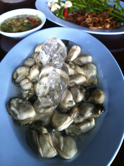 หอยนางรมสด ที่ ร้านอาหาร ฟาร์มปูนิ่ม หอยนางรมสด ที่ ร้านอาหาร ฟาร์มปูนิ่ม