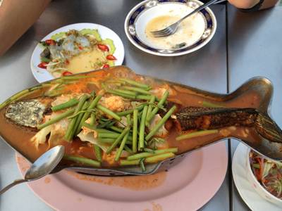 ปลาช่อนแป๊ะซะ ที่ ร้านอาหาร ร้านกุ้งเป็น (เจ้เน้ยกุ้งเป็น)