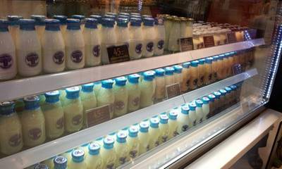ร้านอาหาร Hokkaido Milk Terminal 21