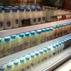 ร้านอาหาร Hokkaido Milk Terminal 21
