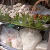ลุกชิ้นปลาทำเอง ที่ ร้านอาหาร สมบูรณ์พานิช