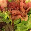 Kaisou Salad สลัดผักผสมสาหร่าย ที่ ร้านอาหาร Don Don Tei Rice Bowl