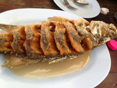 ปลากระพงทอดน้ำปลา ที่ ร้านอาหาร มงคลฟาร์ม