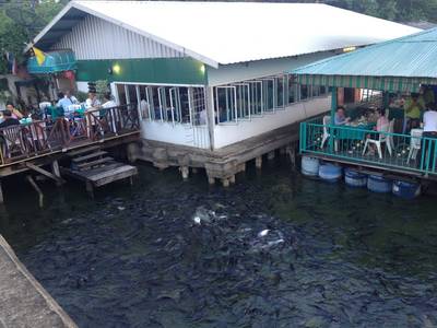ร้านอาหาร ครัวแสงดาวเสือ