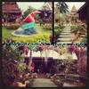 ร้านอาหาร หมอกหลวง