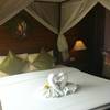 หงส์คู่รอรับอยู่ ที่ ร้านอาหาร Thai Thai Sukhothai Guest House
