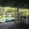 ร้านอาหาร ลาบเป็ด ดาบแจ้
