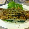 ร้านอาหาร สมบูรณ์โภชนา สุรวงศ์