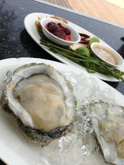 หอยนางรมสดๆ ที่ ร้านอาหาร มุมอร่อย นาเกลือ