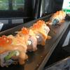 Salmon Solomon
