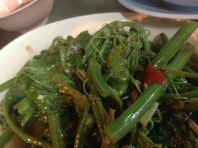 ฟักแม้ว หรืแผัดยอดมะระ ที่ ร้านอาหาร ร้านข้าวต้มนายง้วน ฟักแม้ว หรืแผัดยอดมะระ ที่ ร้านอาหาร ร้านข้าวต้มนายง้วน