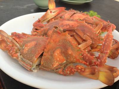 ร้านอาหาร ปรายทะเล ซีฟู๊ด