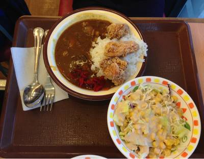 ข้าวแกงกะหรี่ไก่คาราเกะ&สลัด ที่ ร้านอาหาร Sukiya (สุคิยะ) Asiatique