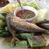 ร้านอาหาร ปลาทู