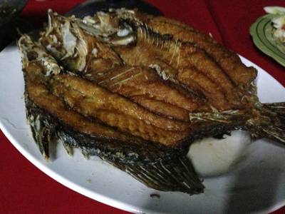 ร้านอาหาร หนู โภชนา