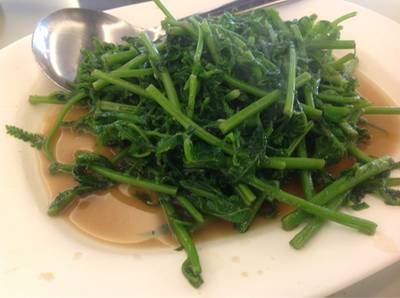 ร้านอาหาร ซ้งโภชนา กัลปพฤกษ์